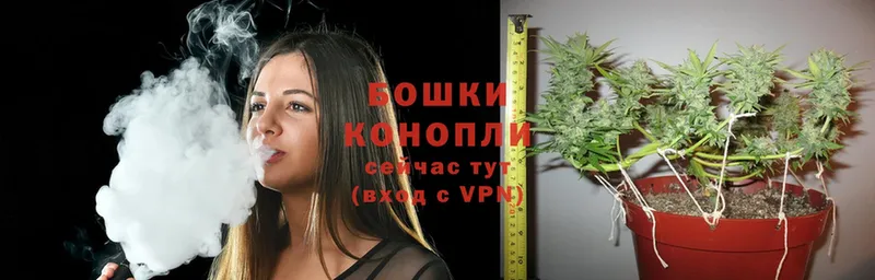 купить  сайты  Жуковка  Бошки марихуана SATIVA & INDICA 